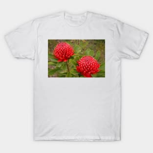 Waratah double T-Shirt